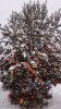 IMG-20181228-WA0007.jpg