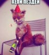 images (6)~2.jpeg