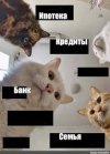 Без названия (1).jpeg