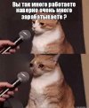 работа.jpg
