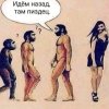 -1.jpg