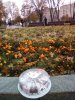 IMG_20191004_075624.jpg