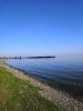 IMG_20190830_172025.jpg