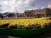 IMG_20191008_133222.jpg