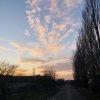 7621783D-16BF-4974-8B3B-685B6DDC91FD.jpeg