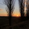 368EE700-D7CB-4D5B-B0BD-CE8630616719.jpeg