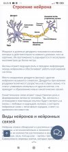 Screenshot_2023-01-03-20-25-45-785_ru.yandex.searchplugin.jpg