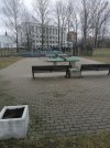IMG_20230325_113101.jpg