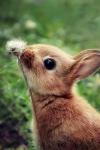 29E71FFA-2681-480F-A71D-73F7C0EE84B7.png