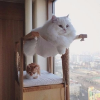 538FE27D-BFF3-4338-BEB4-C5CBE0DAE36C.png