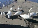 IMG_20230402_112548.jpg
