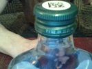 Snapshot_20230409_1.JPG