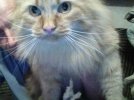 Snapshot_20230211_4.JPG