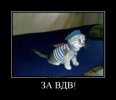 IMG_0251.jpeg