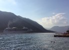 IMG_0439.jpg
