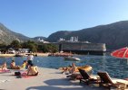 IMG_0440.jpg