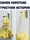 9B02E17C-7A02-43F3-83BB-F6BD2B357DBF.jpeg