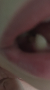 A94CBE50-27A5-4439-8469-49B77E8879F5.png