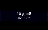 IMG_3592.jpeg