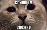 1698673874364.jpeg