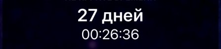 IMG_3914.jpeg