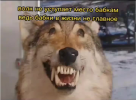 Screenshot 2023-11-11 201040.png