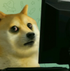 Screenshot 2023-11-12 115111.png