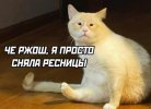 IMG_0686.jpg