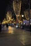 IMG_0696.jpg