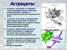 IMG_20231130_133737_761.jpg