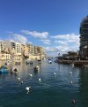 IMG_0782.jpg