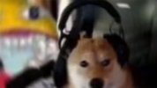 maxresdefault.jpg
