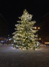 IMG_0790.jpg