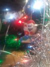 20231211_180355.jpg