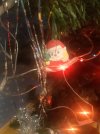 20231211_180331.jpg