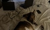 IMG_0468.jpeg