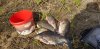 20200501_155043.jpg