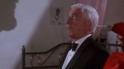 1711037035655.gif