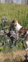 IMG_1322.jpeg