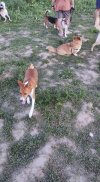 IMG_1324.jpeg