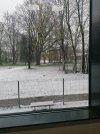 IMG_20240422_122617.jpg