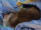 IMG_20240426_001408.jpg