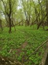IMG20240426103139.jpg