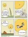 IMG_6023.jpeg
