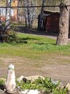 IMG_20240508_093241.jpg