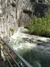 IMG_20240508_163754_553.jpg