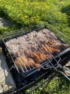 IMG_5419.jpeg