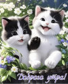 IMG_8154.png IMG_8154.png