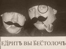 IMG_8195.jpeg IMG_8195.jpeg