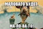 IMG_8227.jpeg IMG_8227.jpeg